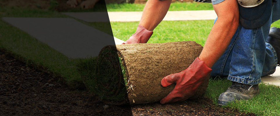 Mchenry Landscapers